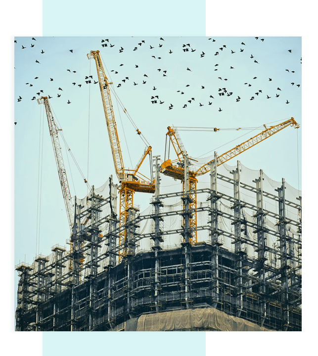 A large building with cranes and birds flying around.